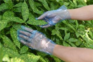 Wholesale Latex Protein Free Disposable TPE Gloves 28*22CM For Food Handling from china suppliers
