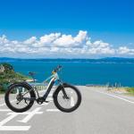 B10 City Bike Aluminum Frame E-Bike with Down Tube Battery 26inch Wheel and LCD