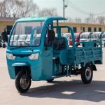 1000W Three Wheel Electric Truck Electric Cargo Trike 1 Person