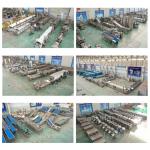 High Productivity Frozen French Fries Machine for Full Automatic Chips