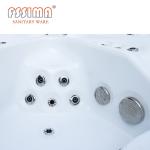 Luxury Balboa Swim Outdoor Spa Acrylic Swim Pool Whirlpool Hot Tubs