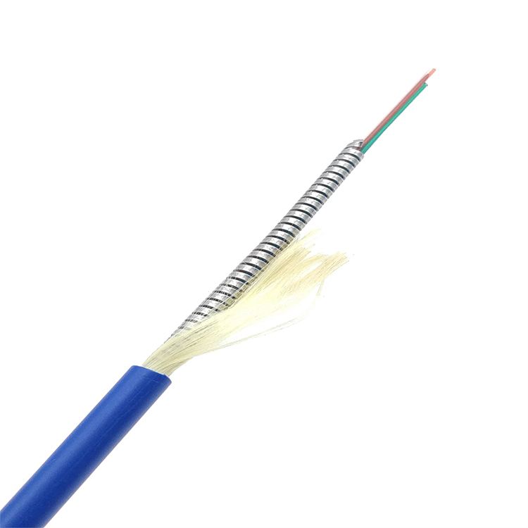 1core 2core 4core 6core Indoor Outdoor Armored Fiber G652D LSZH