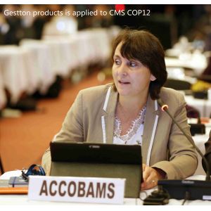 Desktop Gooseneck Microphone Digital Discussion System Dual Channels GESTTON