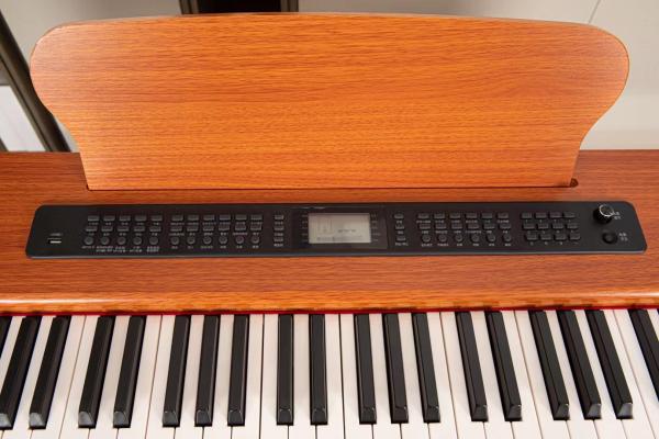 Digital Piano 88 Key Touch Sensitive Hammer Keyboard Upright Piano China