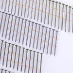 Screw Siding Hot Dipped Galvanized Coil Nails