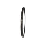 Cummins Flywheel Ring Gear 3908546 3976903 040271 1815440C1 138 Teeth