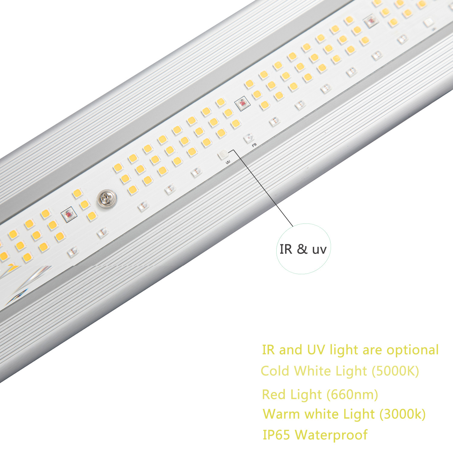 Spectrum Plant 1000W LED Grow Lights 2.8umol/J ETL Approved For Seedlings