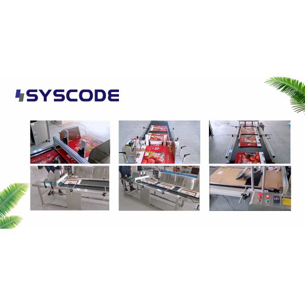 Divider Plate Paging Machine Customized Automatic Paper Feeder Frequency Control