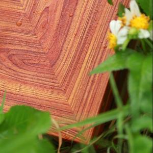 Wholesale Eco Friendly Sublimation Powder Coating Decorative Finishes Powder Coat Spray Paint from china suppliers