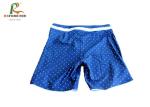 Printed Blue Ladies Swimming Shorts , Women'S Long Board Shorts Swimwear