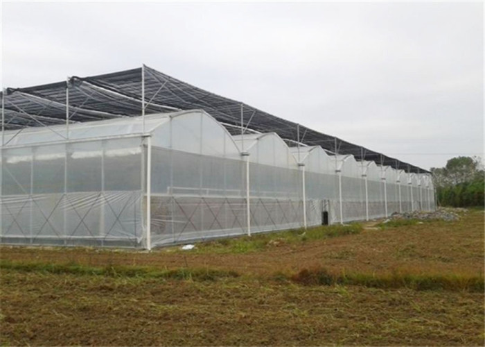 Shouguan Plastic Film Greenhouse 150 / 200micro PE Film Covering Easy To Clean