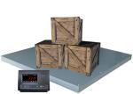 Warehouse 1.5M 60HZ Industrial Floor Scales With Digital Display