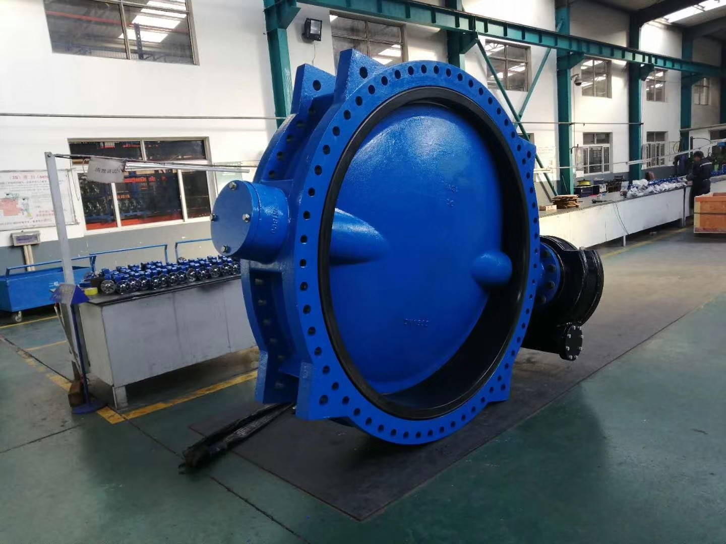 dual plate check valves