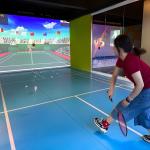 Northern Lights Professional Indoor AR Sports Badminton Indoor Ball Games