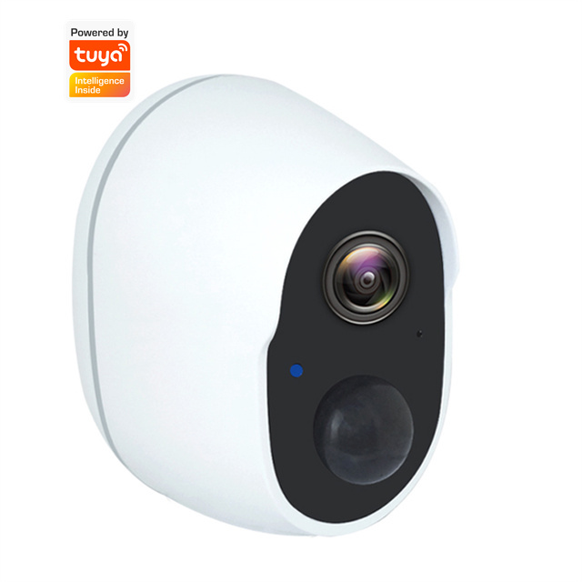 1920x1080 Tuya Smart Camera 2.0 Mega Pixels Pir Security Camera