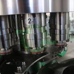 15000BPH CGF32-32-10 SUS304/316 Water Auto Bottle Filling Machine