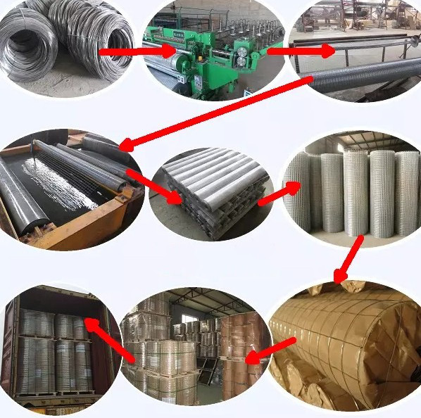 1/2 Inch 3ft Welded Wire Mesh Rolls , 30m Chicken Wire Rolls