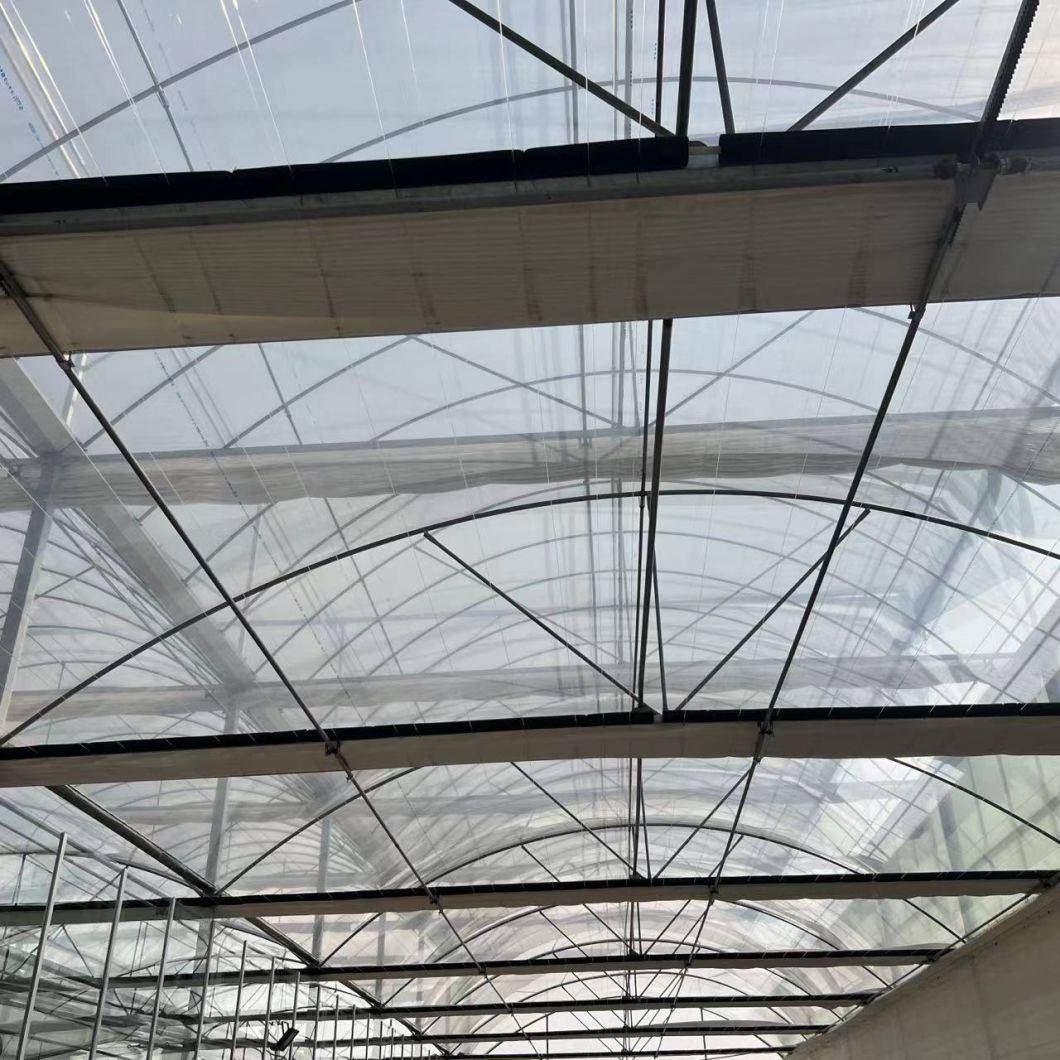 Agricultural Multi Span Greenhouse Hydroponics