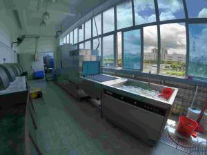 Wholesale High Efficiency Flight Type Dishwasher / Commercial Restaurant Dishwasher CE from china suppliers