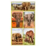 Rectangle Adhesive 3D Lenticular Stickers For Children's Book PET/PP Printing