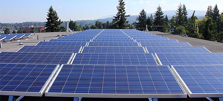 TUV MCS IEC CE APPROVED 12V 100Watt Monocrystalline Solar Panel with 36 Cells In Series