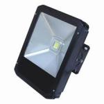 LED Tunnel Light Manufacturer