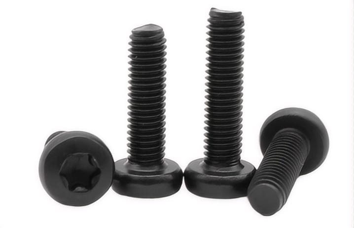 6x55 5x50 M2.5 M3 M4 M5 M6 M8 Pan Head Torx Nylon Patch Locking Screw in Metric Measurement System