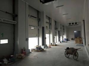 Wholesale Polyurethane Thermal Insulation Commercial Sectional Steel Doors Industrial Customized from china suppliers