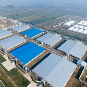 Wholesale Lightweight Steel Structure Farm Fireproof Steel Poultry House GB from china suppliers
