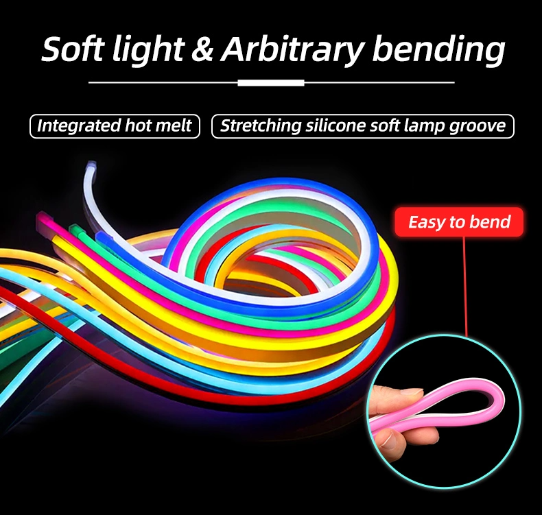 3- ODM/OEM Pure Silica Gel Neon Rope DC12V DC24V IP67 Waterproof 120leds/m SMD 2835 Led Neon Lights for Outdoor and Indoor