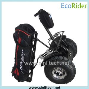 Wholesale Off Road Mobility Scooter Golf Cart Two Wheel Self Balancing 5 Colors Available from china suppliers