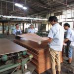 Natural Wood Veneer Fancy Plywood Special Ash Straight Figure Grain 3/5/9mm