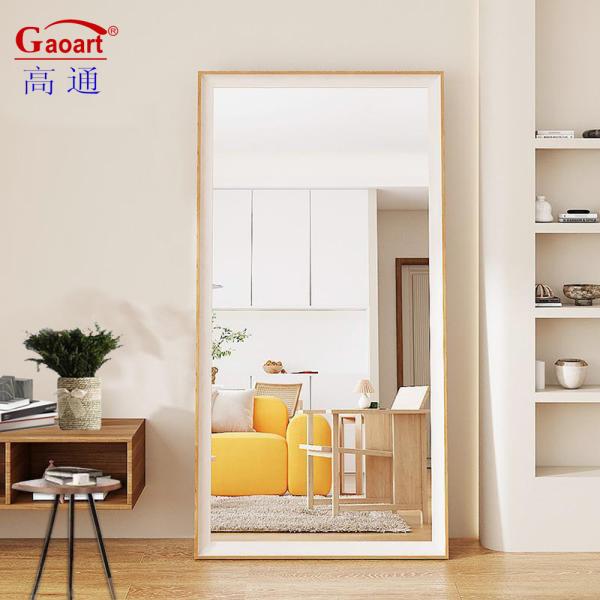 Living Room Plastic Frame Floor Mirror Popular Design Vintage Antique Bathroom