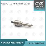 DLLA163P2291 Common Rail Nozzle For Injector 0445110476/477 0986435241