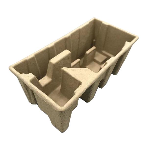 SGS Bagasse Paper Tray Packaging Eco Friendly OEM Acceptable