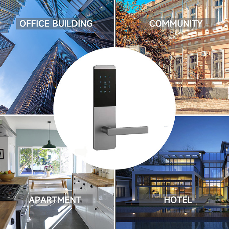 Tuya / TTLock APP Smart Door Lock Support Send Temporary Passcode With Handle