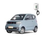 Energy Vehicle Wuling Hongguang MINI EV in 2024 100 Km/h Max Speed Adult