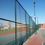 Hot Dipped Chain Wire Fencing Rolls 2.5m Height 9 Gauge