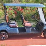 4 Seater Electric Golf Cart Blue Outdoor Theme Park Lithium Battery Manufacturer