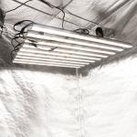 OEM Horticulture Marijuana 800 Watt LED Grow Lamps For Flowering Weed