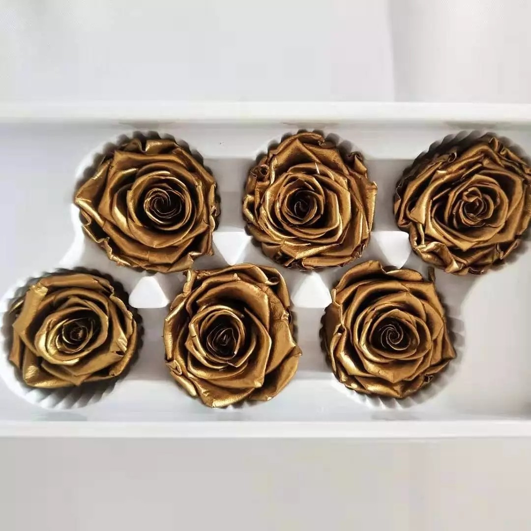 Ecuador Eternal rose luxury gift 10cm preserved rose in Velvet box preserved rose