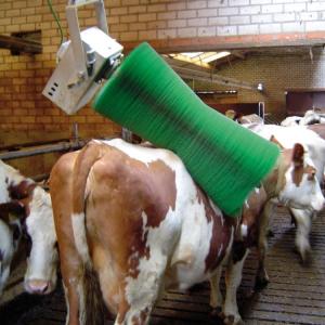 Wholesale Dairy Farm Equipments Automatic Cow Body Brush For Cow Massage With The Motor from china suppliers