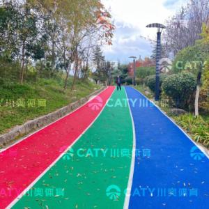 Wholesale Outdoor Anti-UV Jogging Track Material EPDM Granule &amp; PU Binderfor School College Playground from china suppliers