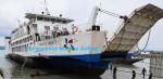 Big Carrying Capacity Marine Rubber Airbag , Boat Recovery Airbags Small Size