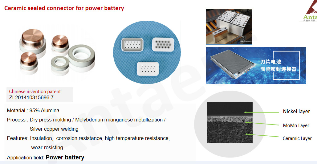 Custom Electronic Ceramic Components Metallized Alumina Oxide Ceramics Insulating Relay