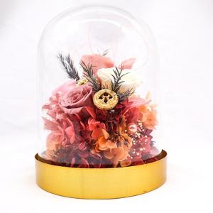 Wholesale Customized Everlasting Rose In Glass , Valentine'S Day Preserved Roses In Glass from china suppliers