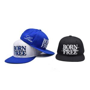 Wholesale 3d Embroidery Cap Snapback Wholesale Custom Embroidery Snapback Hat from china suppliers