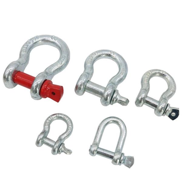 ZINC Finish DIN Standard Carbon Steel/Stainless Steel D-Ring Shackle for Market