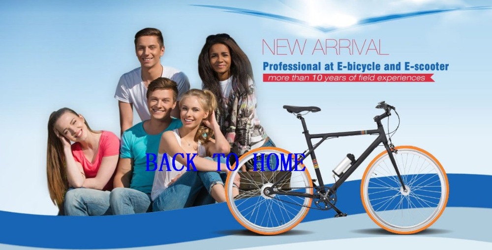Private Label OEM 1000W 29 Inch Electric Mountain Bike