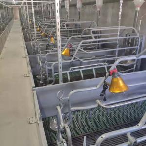 Wholesale Pigsty Equipment 2.5mm Thickness Sow Farrowing Crate from china suppliers